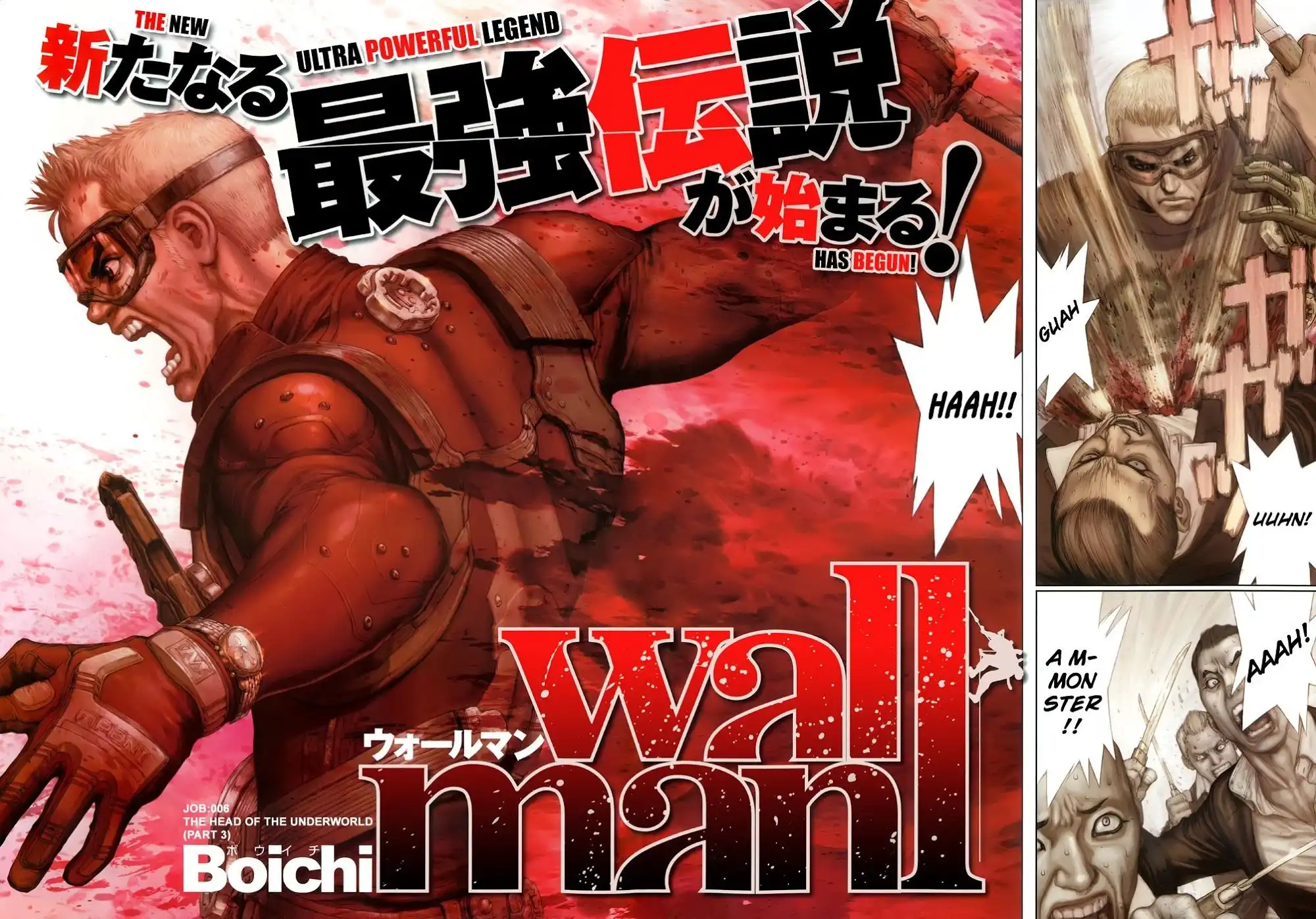 Wallman Chapter 6 Raw